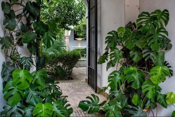 Apartamento De Dos Dormitorios En Plaza Alfaro Σεβίλλη Εξωτερικό φωτογραφία